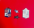 CHRIS CRAFT ORIGINAL BOAT EMBLEM