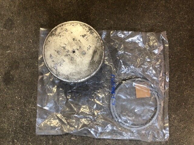 New OEM OMC, Johnon, Evinrude 396576, 0396576 Piston and Rings