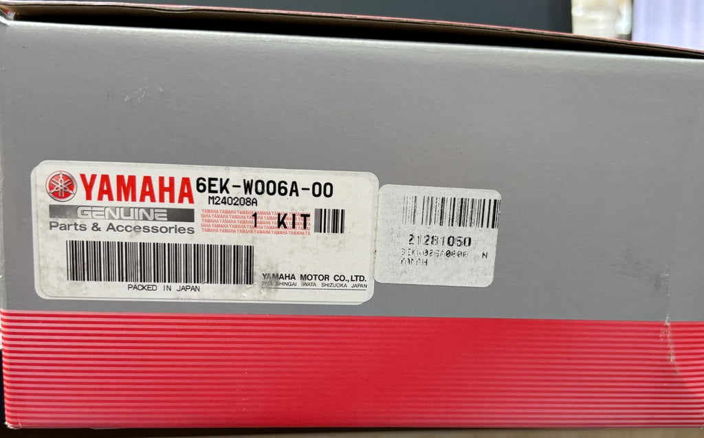 YAMAHA OEM 100-Hour Service Kit