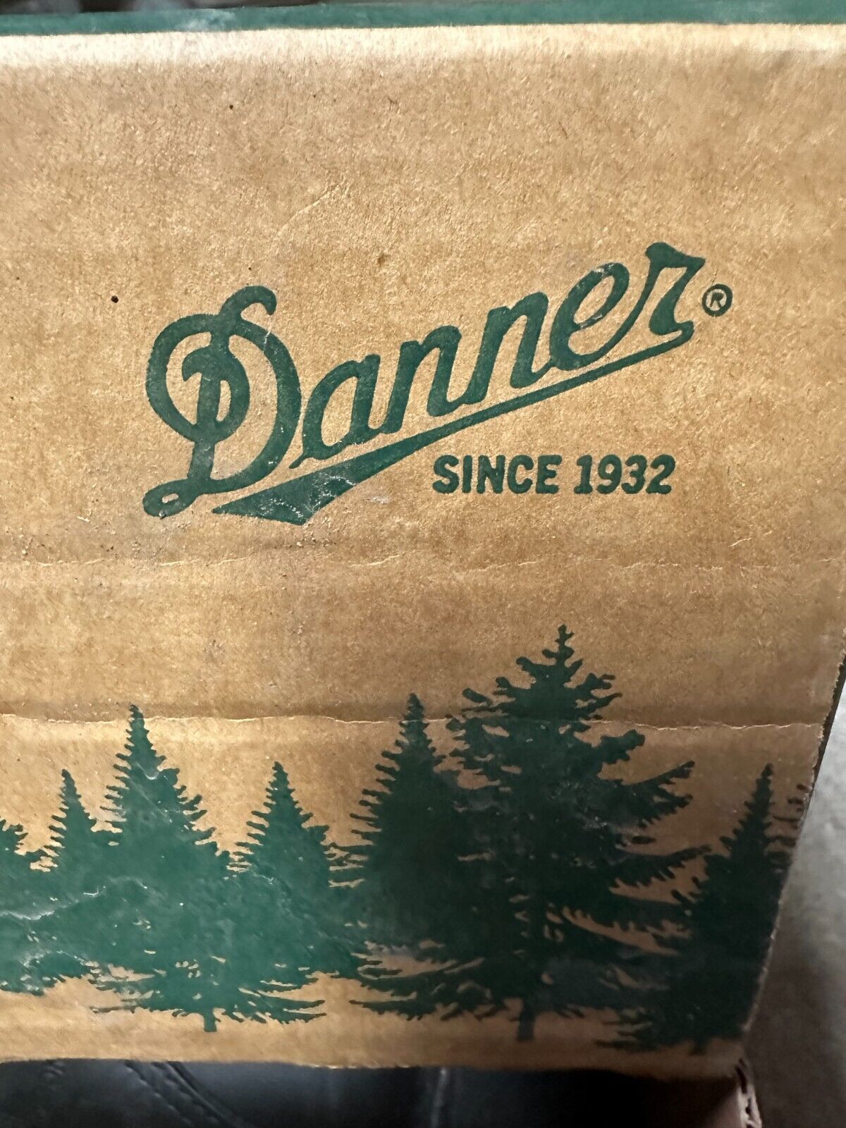DANNER Acadia 69210 Men's Boot - Size 10 EE - NEW