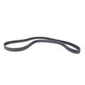 Sierra 18-15139 Yamaha Timing Belt - 6AW-46241-00-00