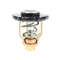 Sierra 18-3641 Yamaha Thermostat