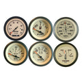 Sierra 69704P Sahara Series 6 Gauge Kit