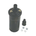 Sierra 18-5437 Ignition Coil Replaces 0378231